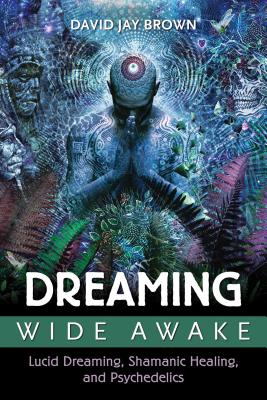 (PB) Dreaming Wide Awake: Lucid Dreaming, Shamanic Healing, and Psychedelics: By David Jay Brown