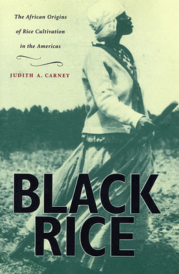 (PB) Black Rice: The African Origins of Rice Cultivation in the Americas (Revised edition:) By Judith A Carney